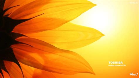 Digital Art Hd Wallpaper #29