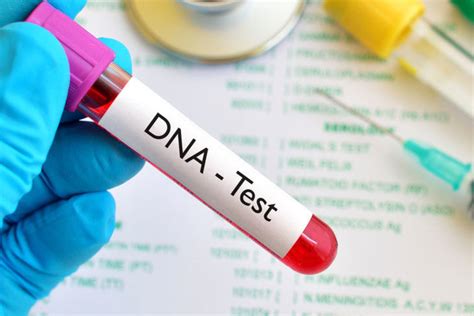 Image result for DNA Testing Process