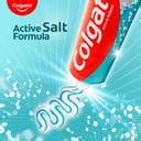 Colgate Active Salt Tooth paste, Daily Germ Protection, Healthy Gums ...