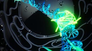 DNA Electron Microscope 的图像结果