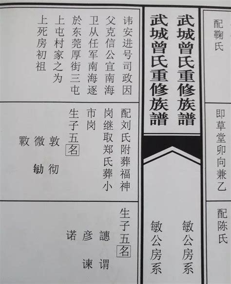 曾氏宗亲网 - 曾氏族谱 - 首个中文实名注册论坛