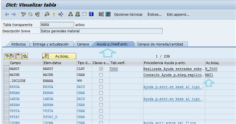 Match the Code 的图像结果