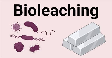 Image result for Bioleaching Process