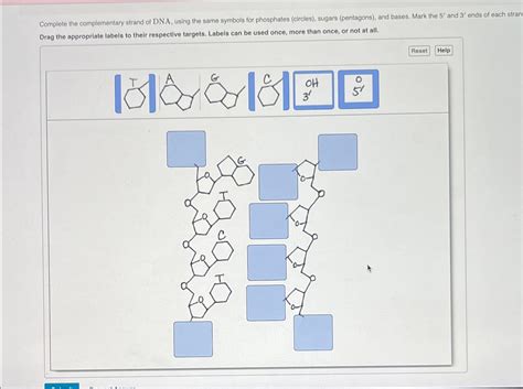 Image result for Complementary Strand