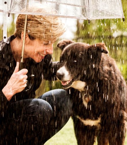 10 Best Tips for Your Dogs Paws this Monsoon Season – Oliver Pet Care ...