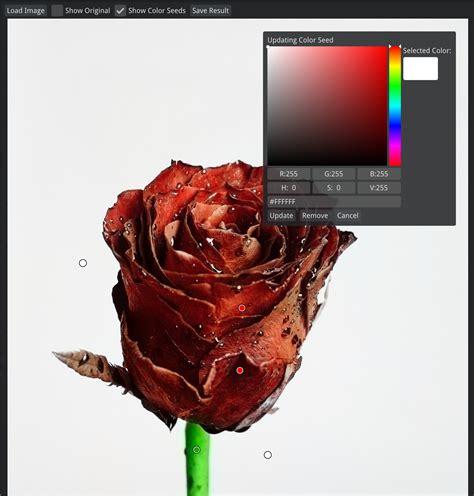 Image result for Colorize Photo Software