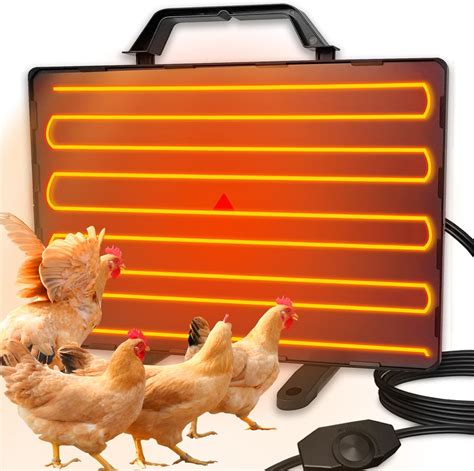 Chicken Coop Heater