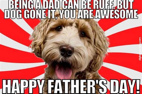100 Hilarious Happy Father's Day Memes of the Week - DailyFunnyQuote