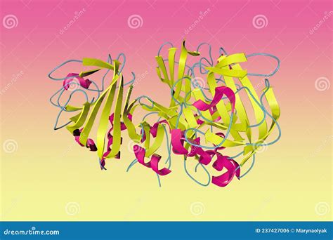 Image result for Fibrinogen Structure