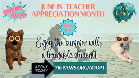 Image result for Fetch Training