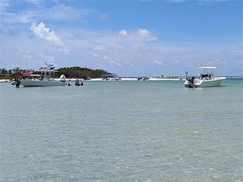 Image result for Shell Key Preserve