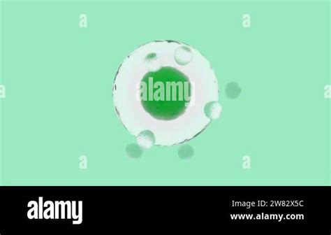 Image result for Particles of Movement Animation