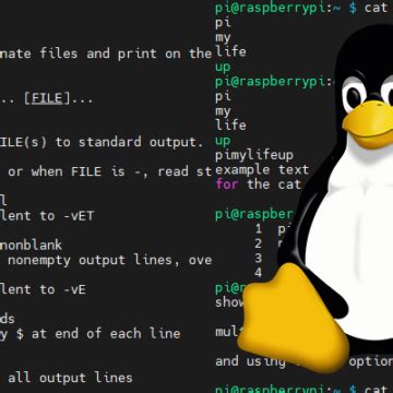 Image result for Linux Commands File Output