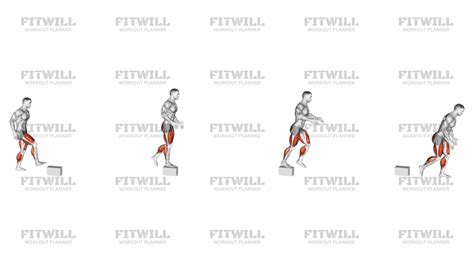 Image result for Long Strider Exercise