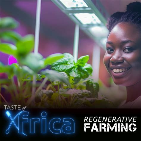 Taste the Revolution! Get ready for Taste of Africa, the groundbreaking culinary reality show ...