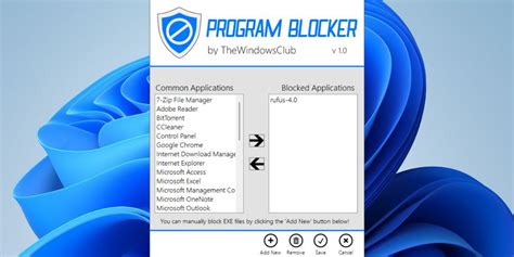 Block Application 的图像结果