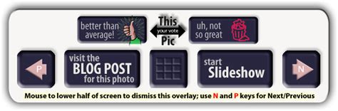 Image result for Photostream Tutorial