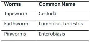 Scientific Names Free MCQ Practice Test with Solutions - CUET