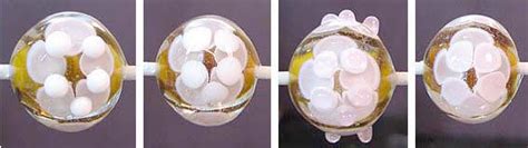 Image result for Petal Tutorial