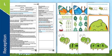 EYFS Complete the Caterpillars Adult Input Plan and Pack
