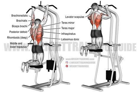 Image result for Assisted Pull Up Machine