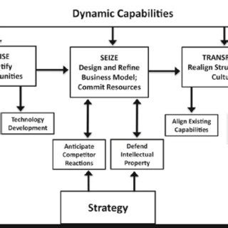 Image result for Dynamic Capability Framework Treece