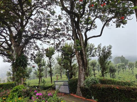 VALLEY VIEW BUNGALOW BY LEXSTAYS (Valparai, Tamil Nadu) - Hotel Reviews ...