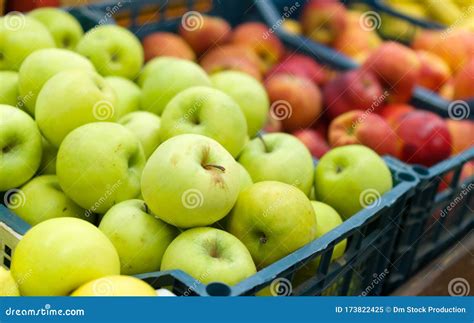 Red and green apples stock image. Image of sweet, green - 173822425
