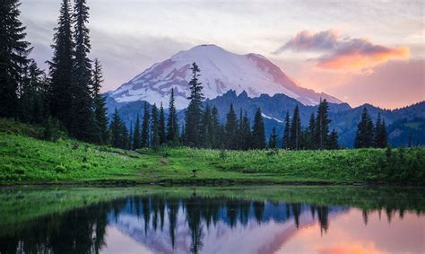 Image result for Nature Sample