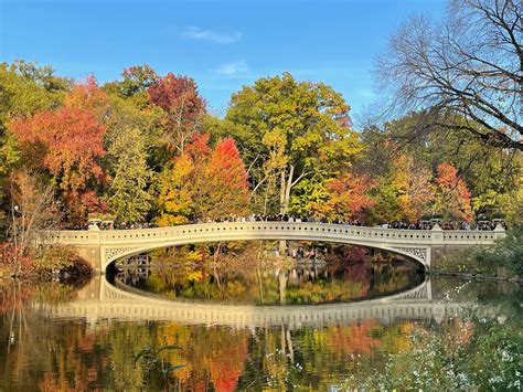 Fall foliage is at its peak in Central Park, so don't miss it this November