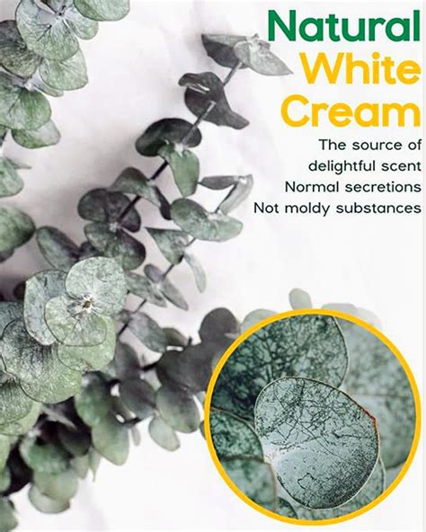 Pots & Planters – Homesake.in