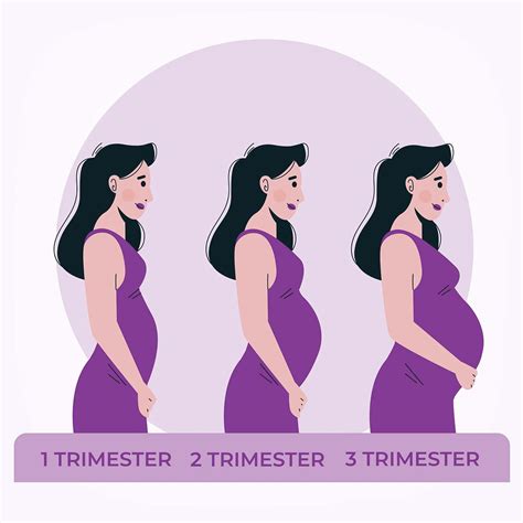 Buy PROWEE WOMEN'S DISPOSABLE PRE & POST PARTUM MINOR DISCHARGE ...