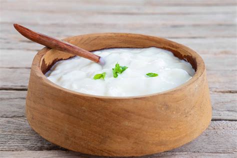 The History of Yogurt and Homemade Yogurt Recipe | BULB