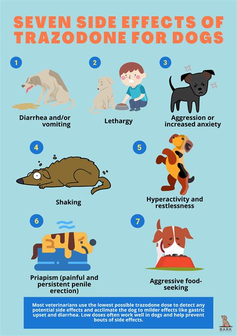 Can A Dog Overdose On Trazodone