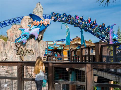 25 SeaWorld San Diego Tips And Tricks For A Fun Day Out | La Jolla Mom