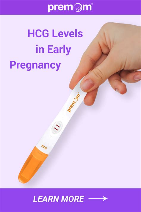 Hcg Levels Pregnancy Test At Home at April Langdon blog