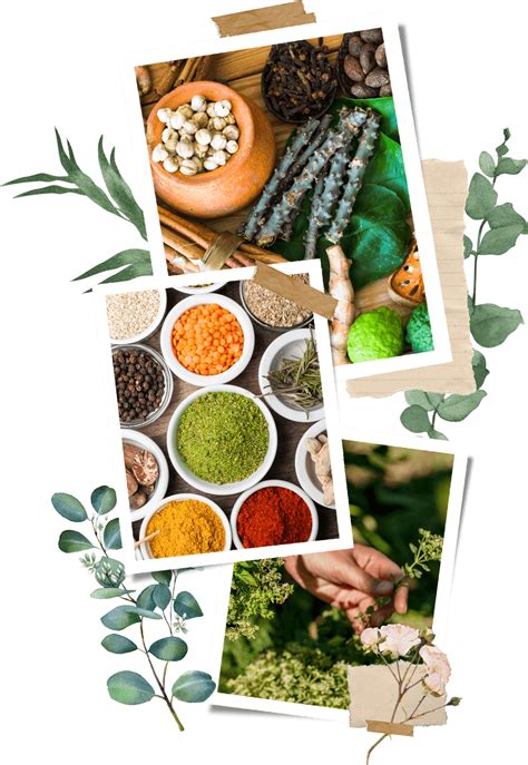 Herbal Alice - Clinical Registered Herbalist