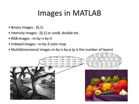 Learn MATLAB for Imaging 的图像结果