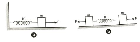 spring of force constant k clamped rigidly at onoe end and a mass m ...