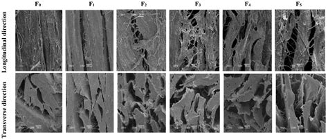 Changes in Quality and Collagen Properties of Cattle Rumen Smooth ...