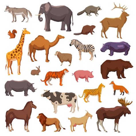 Real animals Images - Free Download on Freepik