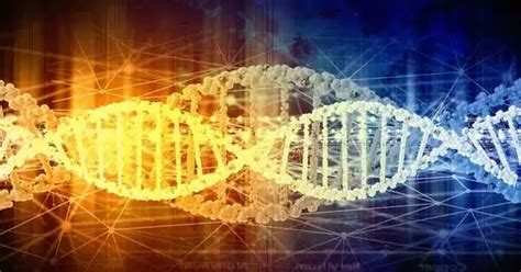 Machine Learning for Bioinformatics 的图像结果