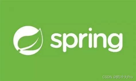 Java Spring Cloud Logo 的图像结果
