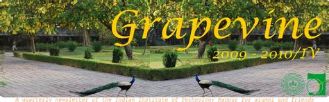 Grapevine 09-10 (3)