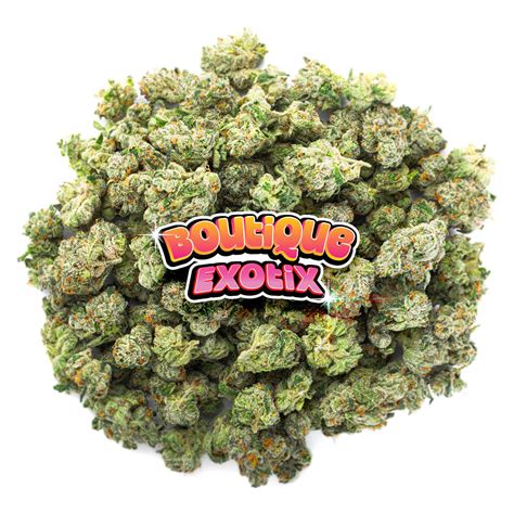 Black Magic Strain | Premium CBD Flower & Buds – ShopZaza