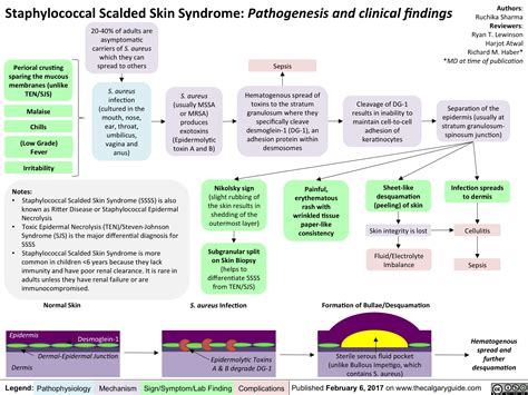 Staphylococcal Scalded Skin Syndrome: Pathogenesis and Clinical ...