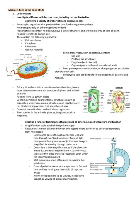 HSC Bio Notes 的图像结果