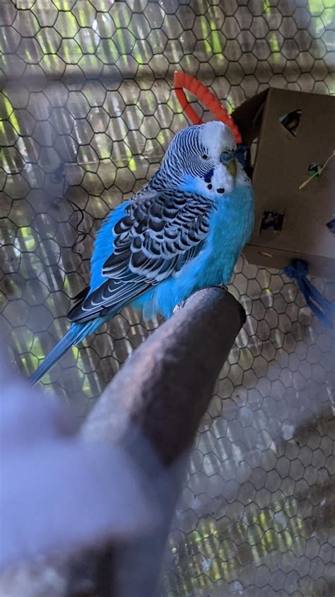 big booty bitch for you big booty bitch for you ahhhhhhh : r/Kanye