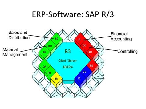 SAP R 3 Module 的图像结果
