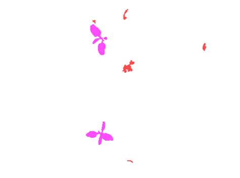 Sugar Beets 2016 - Dataset Ninja